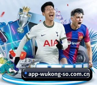 悟空体育的方向 - 长期内容价值积累(WUKONG SPORTS)